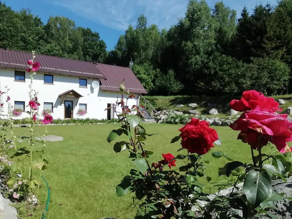 Borzytuchom Agrowinnica מראה חיצוני תמונה